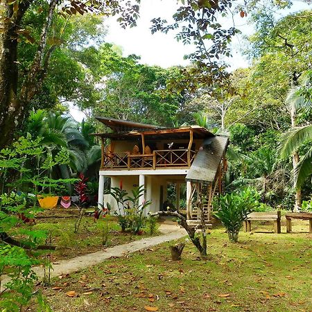 Green Corner Cahuita Εξωτερικό φωτογραφία