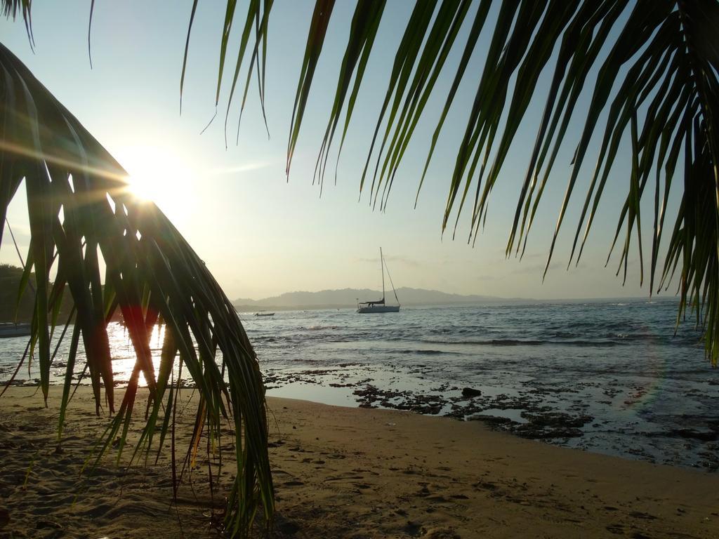 Green Corner Cahuita Εξωτερικό φωτογραφία
