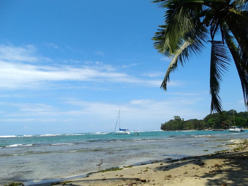 Green Corner Cahuita Εξωτερικό φωτογραφία