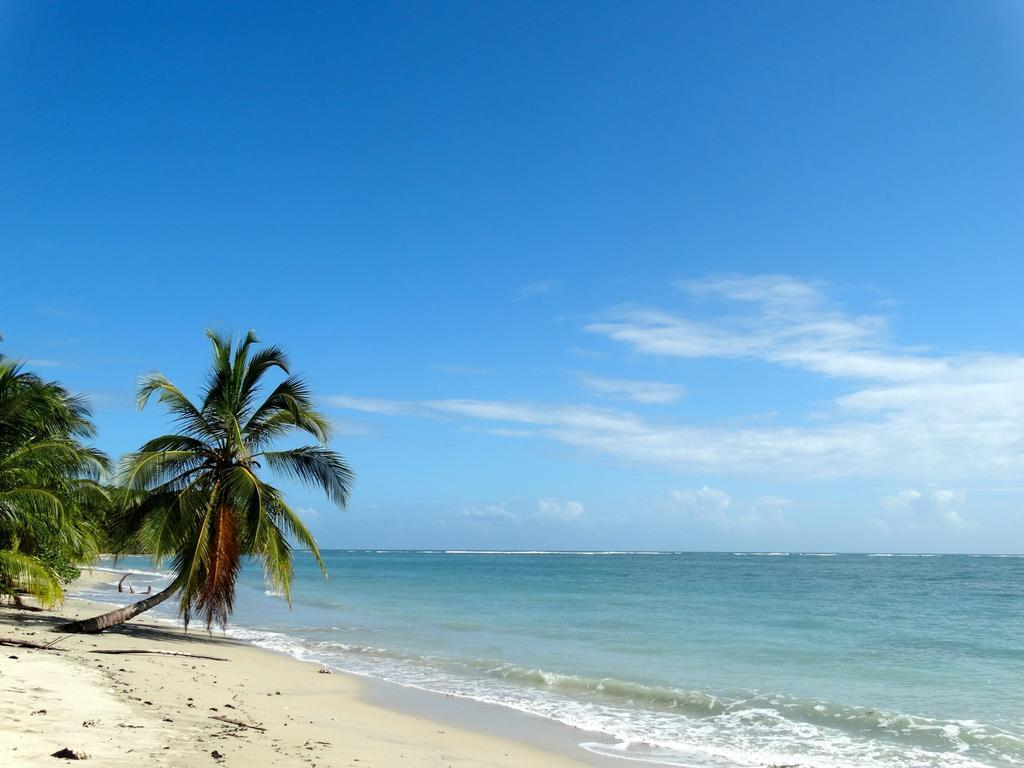 Green Corner Cahuita Εξωτερικό φωτογραφία