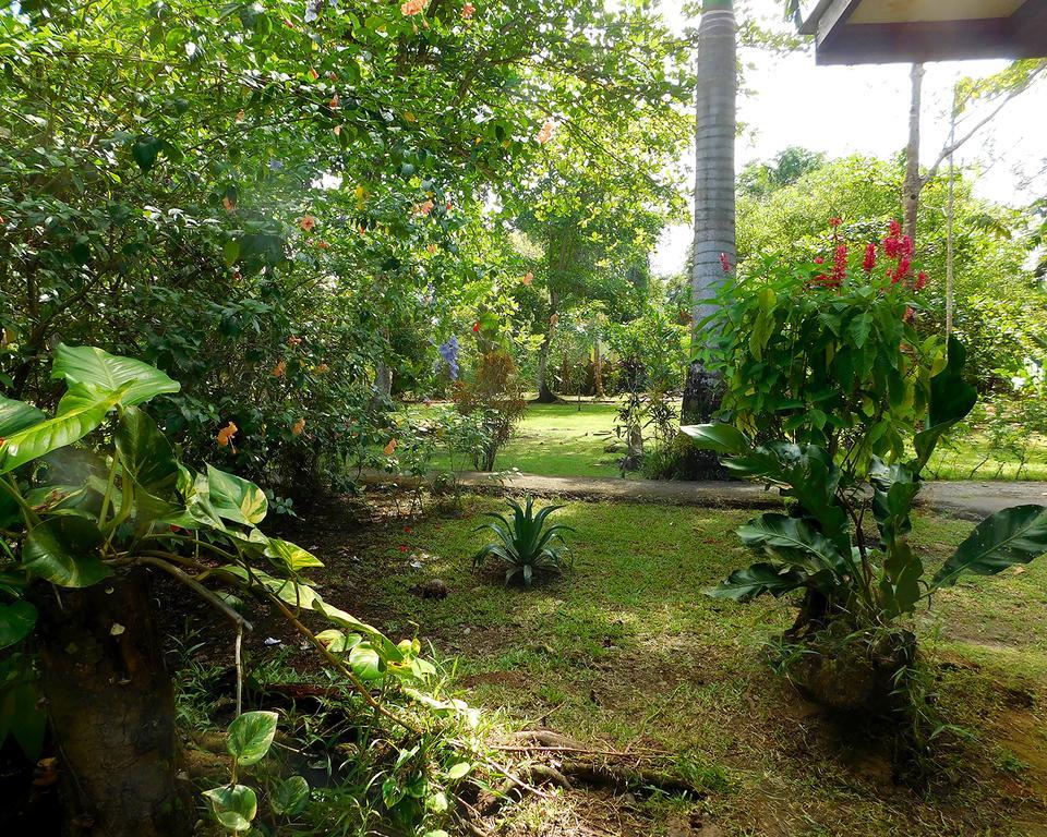 Green Corner Cahuita Εξωτερικό φωτογραφία