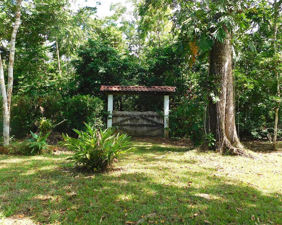 Green Corner Cahuita Εξωτερικό φωτογραφία