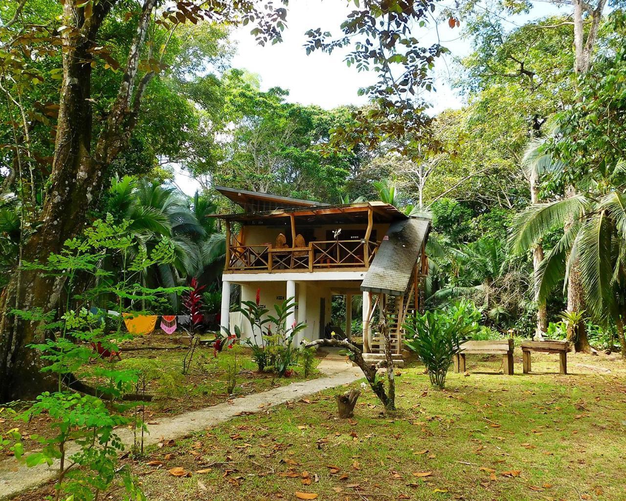 Green Corner Cahuita Εξωτερικό φωτογραφία