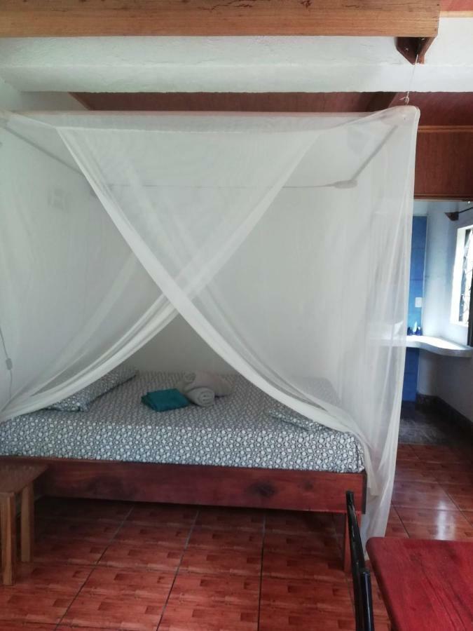 Green Corner Cahuita Εξωτερικό φωτογραφία