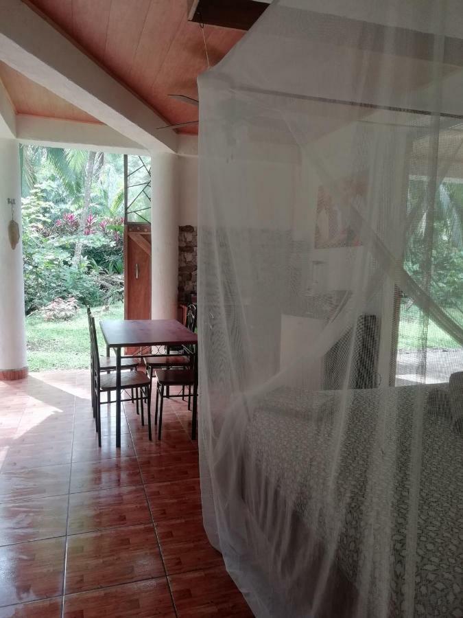Green Corner Cahuita Εξωτερικό φωτογραφία